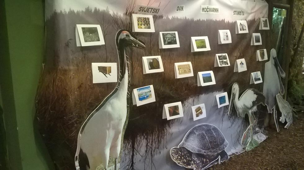 Zoološki vrt grada Zagreba obilježava Svjetski dan močvarnih staništa