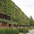 Kineski vertikalni vrtovi godišnje će apsorbirati 25 tona ugljičnog dioksida