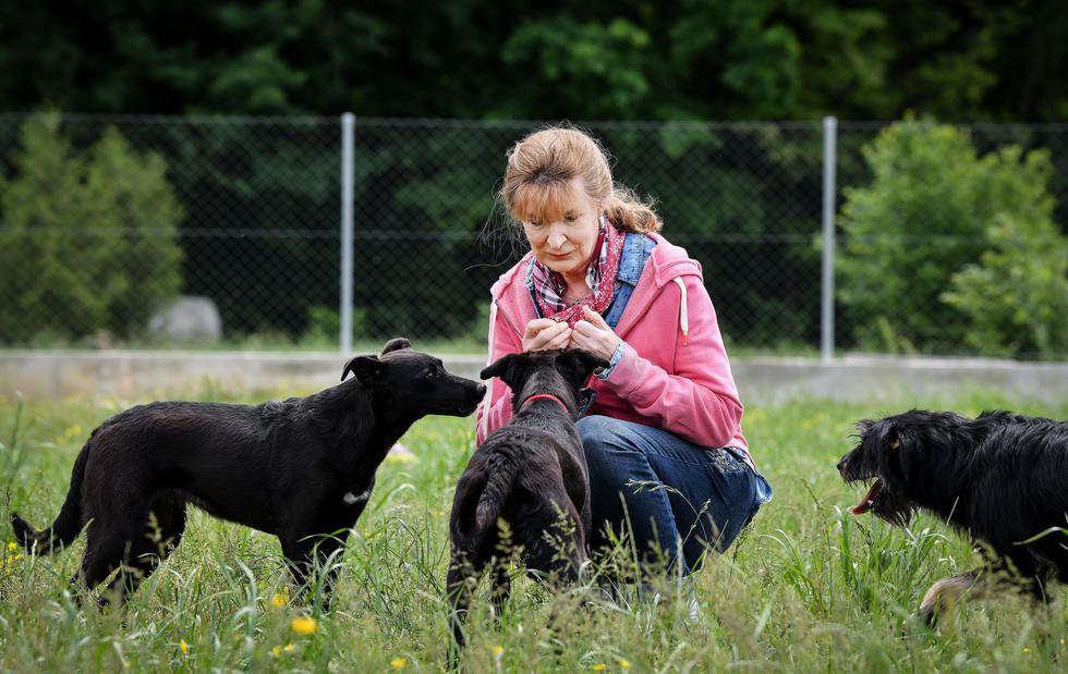 Šaptačica životinjama Margrit Coates na djelu u azilu u Velikoj Gorici