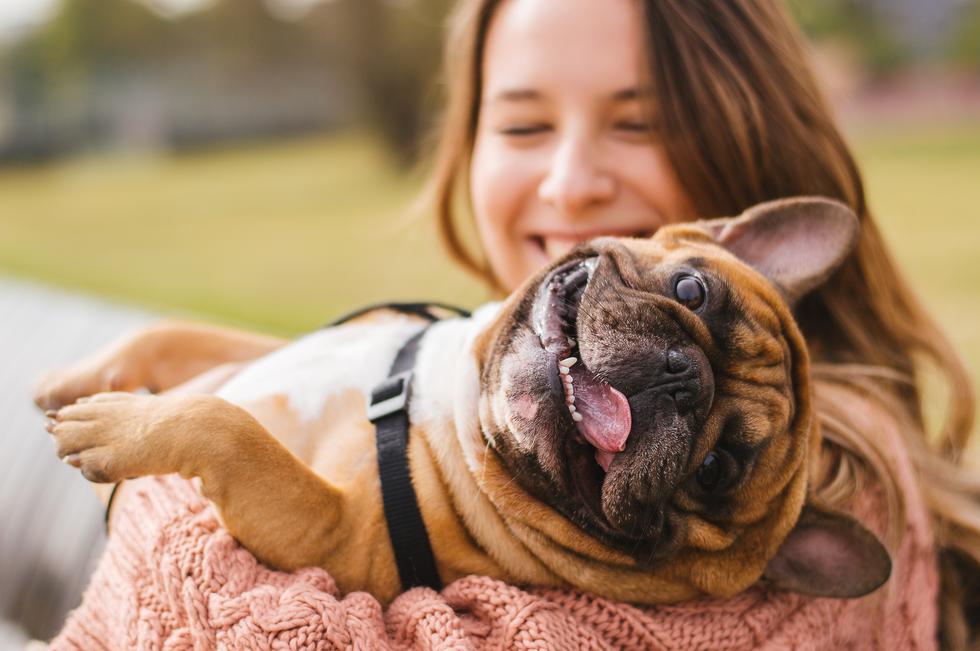 Neuroznanstvenici potvrdili ono što si već odavno znala: Tvoj te pas uistinu voli!