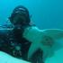 Ovaj morski pas prava je maza i stalno posjećuje svoga prijatelja ronioca