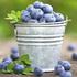 Plavo i purpurno voće odlično u borbi protiv masnih naslaga